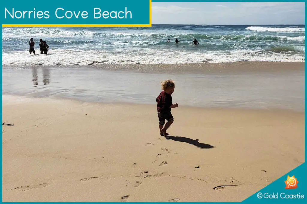 Norries Beach - Swimmers and surfers enjoying the beach - Cabarita Beach - NSW