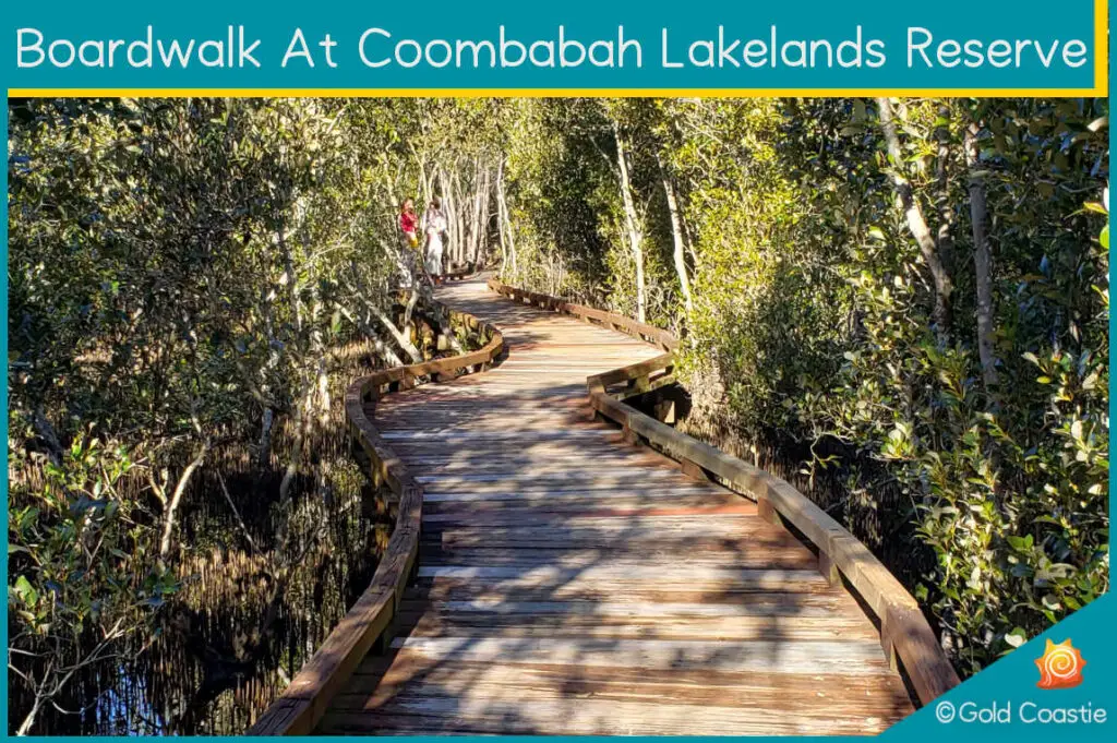 Boardwalk at Mangrove Boardwalk Trail