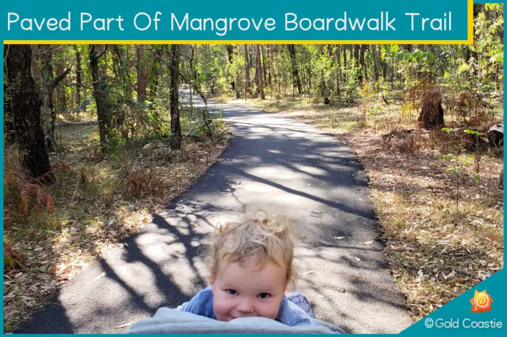 Paved part of Mangrove Boardwalk Trail