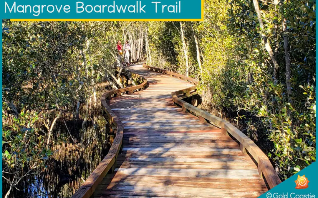 Mangrove Boardwalk At Coombabah: Take A Walk With Me