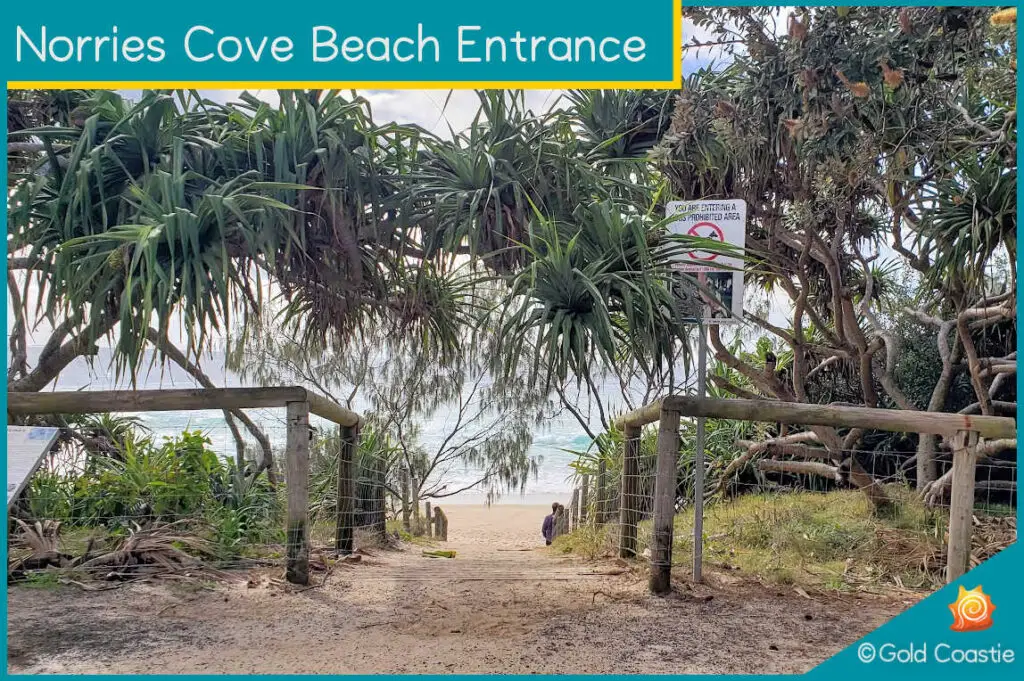 Norries Cove - Beach Entrance and no dogs allowed sign - Cabarita Beach - NSW