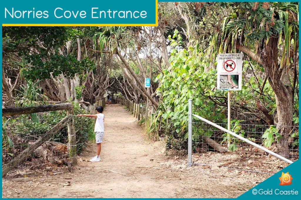 Norries Cove - Entrance to beach and boardwalk - Cabarita Beach - NSW