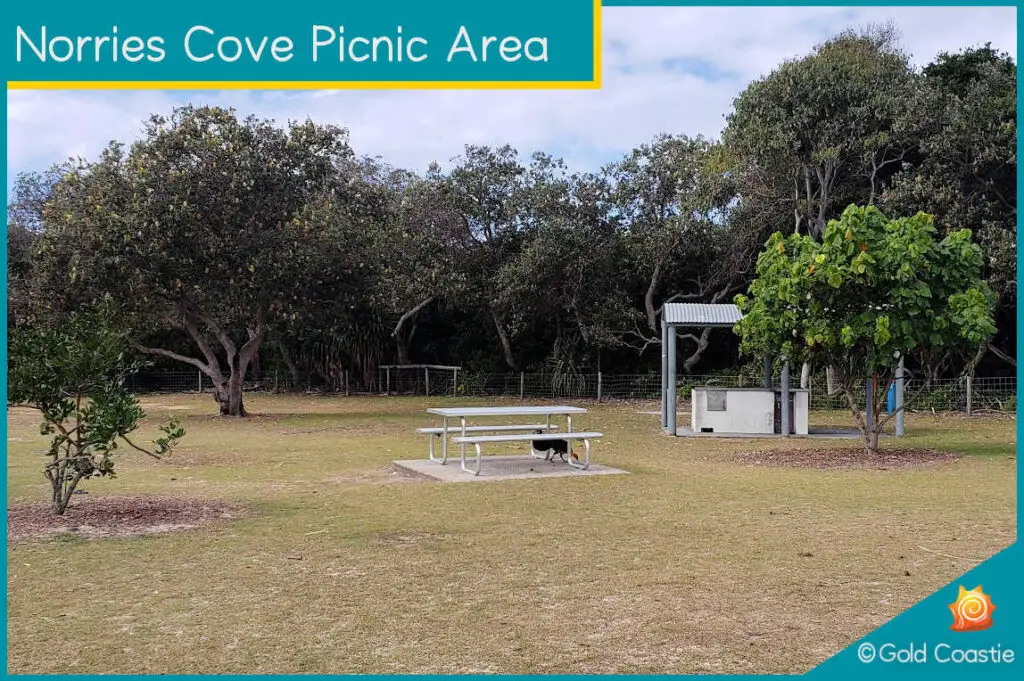 Norries Cove - Picnic facilities - Cabarita Beach - NSW 
