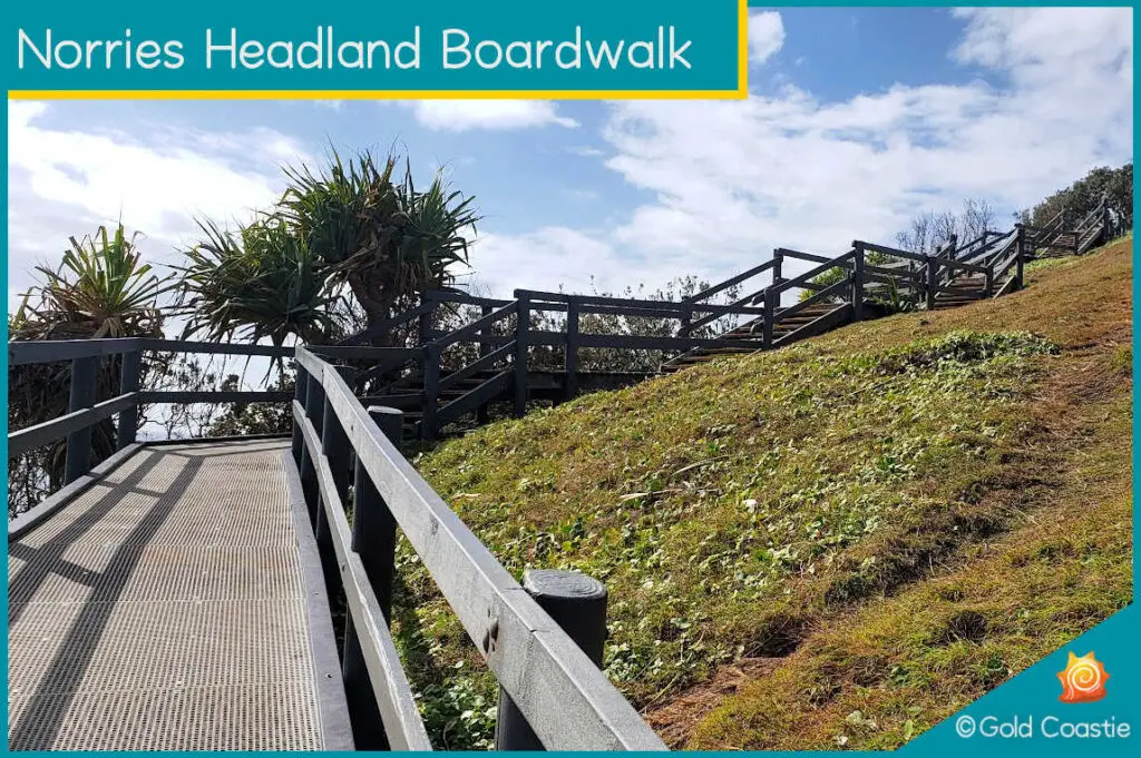 Norries Headland Boardwalk - Climb up to the lookout point - Cabarita Beach - NSW