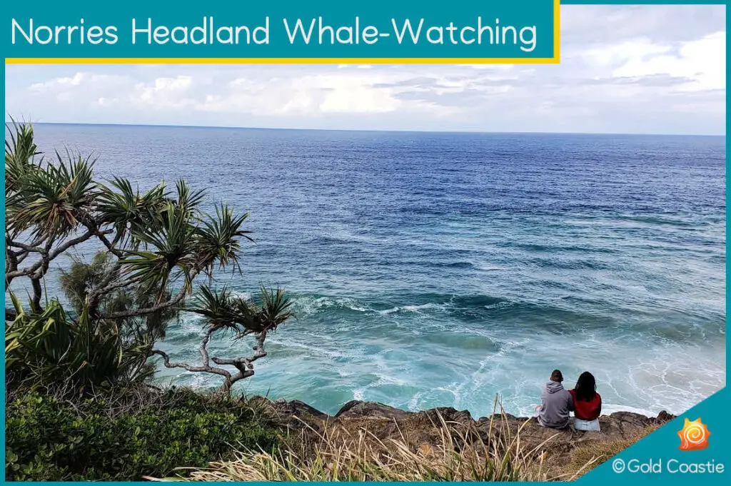 Norries Headland Whale-Watching Platform - View from the whale watching lookout point - Cabarita Beach - NSW